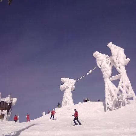 Apartmán Podkovička