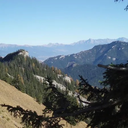 Apartamento Podkovička *