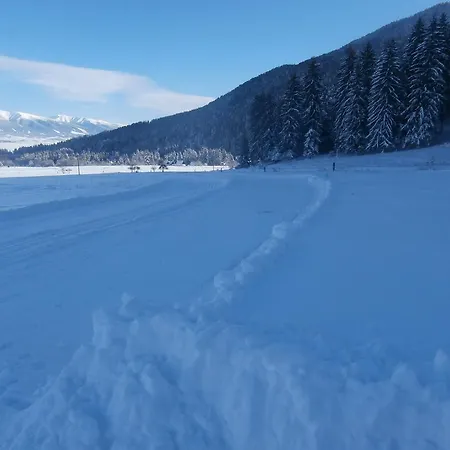 Podkovička Pavčina Lehota